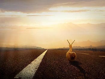 生命不息，奮斗不止——福瑞達(dá)人